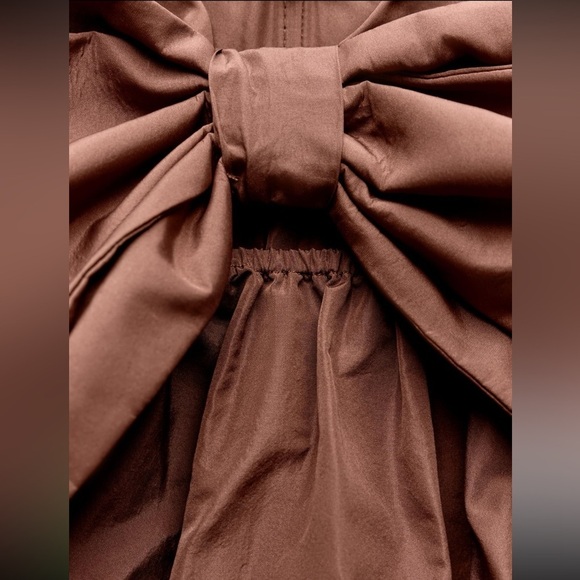 Zara Brown Strapless Dress - Picture 3 of 5